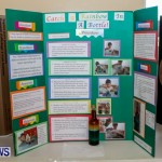 Purvis Primary School Science Fair Bermuda, Feb 26 2014-16