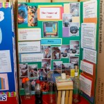 Purvis Primary School Science Fair Bermuda, Feb 26 2014-39
