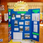 Purvis Primary School Science Fair Bermuda, Feb 26 2014-4