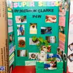 Purvis Primary School Science Fair Bermuda, Feb 26 2014-44