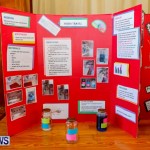 Purvis Primary School Science Fair Bermuda, Feb 26 2014-73