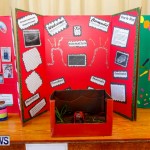 Purvis Primary School Science Fair Bermuda, Feb 26 2014-74