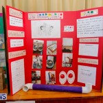 Purvis Primary School Science Fair Bermuda, Feb 26 2014-80