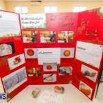 Purvis Primary School Science Fair Bermuda, Feb 26 2014-92