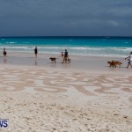 Beach Art Horseshoe Bay Bermuda, March 29 2014-25