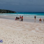 Beach Art Horseshoe Bay Bermuda, March 29 2014-26