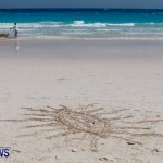 Beach Art Horseshoe Bay Bermuda, March 29 2014-28
