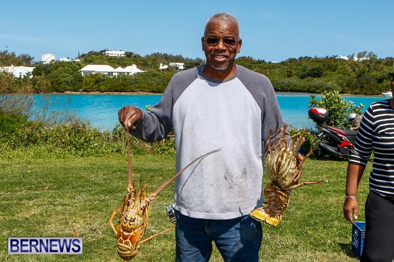 Bermuda Spiny Lobster Fisherman Gary Caisey Sids Seafood, March 30 2014