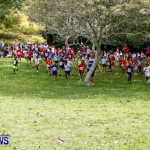 KPMG Round The Grounds Races Bermuda, March 16 2014-34