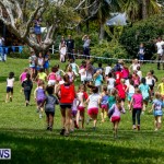 KPMG Round The Grounds Races Bermuda, March 16 2014-66