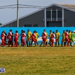 NVCC North Village Rams Devonshire Cougars Football Bermuda, March 23 2014-4
