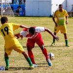 NVCC North Village Rams Devonshire Cougars Football Bermuda, March 23 2014-67