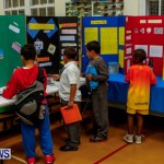 St David's Primary School Science Fair Bermuda, Feb 27 2014-13
