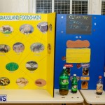 St David's Primary School Science Fair Bermuda, Feb 27 2014-20
