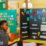 St David's Primary School Science Fair Bermuda, Feb 27 2014-34