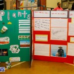 St David's Primary School Science Fair Bermuda, Feb 27 2014-35
