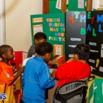 St David's Primary School Science Fair Bermuda, Feb 27 2014-36