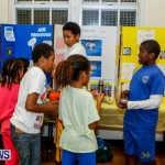 St David's Primary School Science Fair Bermuda, Feb 27 2014-42