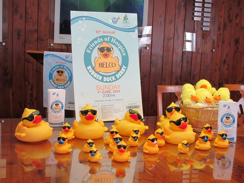 Rubber Duck Derby Launch 2014 - 2