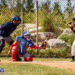 YAO Youth Baseball Bermuda, April 26 2014 (39)