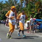 2014 Bermuda Day Marathon Derby (18)