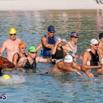 Catlin National Triathlon Swimming Bermuda, May 11 2014-44