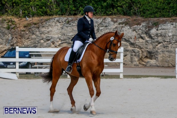 Horses Dressage Bermuda, May 3 2014-15