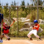 YAO Youth Baseball Bermuda, May 3 2014-15