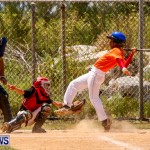YAO Youth Baseball Bermuda, May 3 2014-18