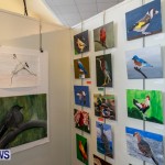 Audubon Society Bird Art Bermuda, June 6 2014-13