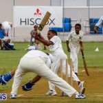 Hiscox Celebrity Cricket Festival Bermuda, June 7 2014-35