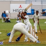 Hiscox Celebrity Cricket Festival Bermuda, June 7 2014-36