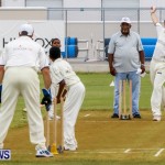 Hiscox Celebrity Cricket Festival Bermuda, June 7 2014-40