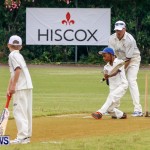 Hiscox Celebrity Cricket Festival Bermuda, June 7 2014-77