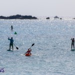PaddleBoarding Bermuda, June 16 2014-90