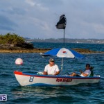 Round De Island Seagull Race Bermuda, June 14 2014-20