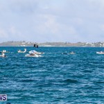 Round De Island Seagull Race Bermuda, June 14 2014-82