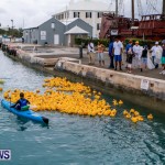 Rubber Ducky Derby Bermuda, June 1 2014-24