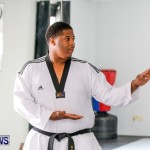 Taekwondo Champion Academy Bermuda, June 3 2014-11
