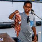 Lionfish Groundswell Bermuda, July 19 2014-6