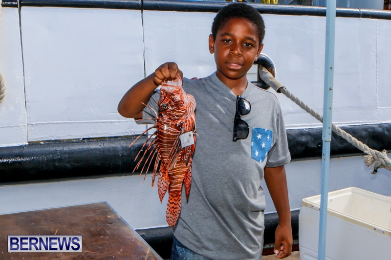 Lionfish-Groundswell-Bermuda-July-19-2014-6