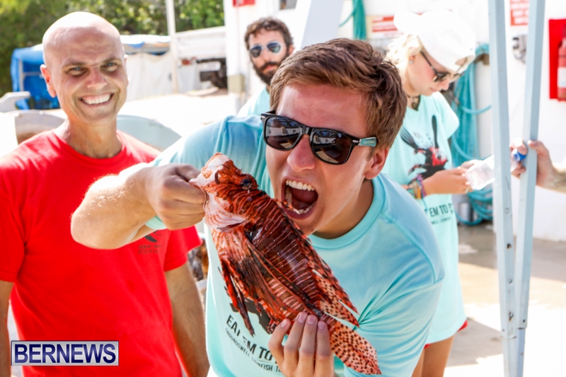 Lionfish-Groundswell-Bermuda-July-19-2014-7