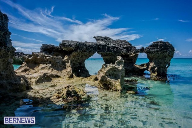 bermuda-low-tides