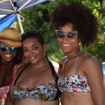 04-A Wade 2014 BeachFest Bermuda (71)