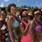 18-A Wade 2014 BeachFest Bermuda (11)