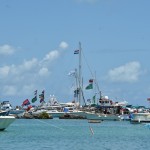 2014 bermuda non mariners race a wade  (22)