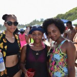 28-A Wade 2014 BeachFest Bermuda (21)