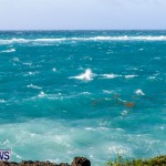 Hurricane Cristobal Bermuda, August 28 2014-13