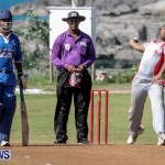 Cricket Bermuda, September 15 2014-1