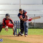 Cricket Bermuda, September 15 2014-12